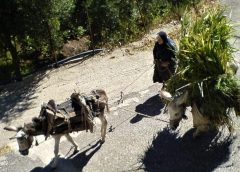 Καλάβρυτα: Μελέτη αποκαλύπτει 30 απειλές για το μέλλον της ορεινής περιοχής